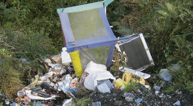 CCTV Needed To Curb Dumping Irish Independent