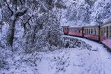 thumbnail: The Kalka–Shimla railway is a 2 ft 6 in (762 mm) narrow-gauge railway in North India/ Photo: Deposit