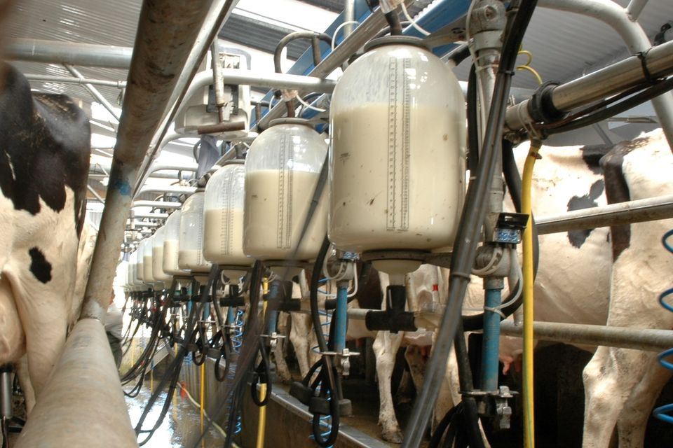 The main losses in milk supply are expected to be largely concentrated in Germany, the Netherlands, Denmark and Belgium. Photo: Stock image