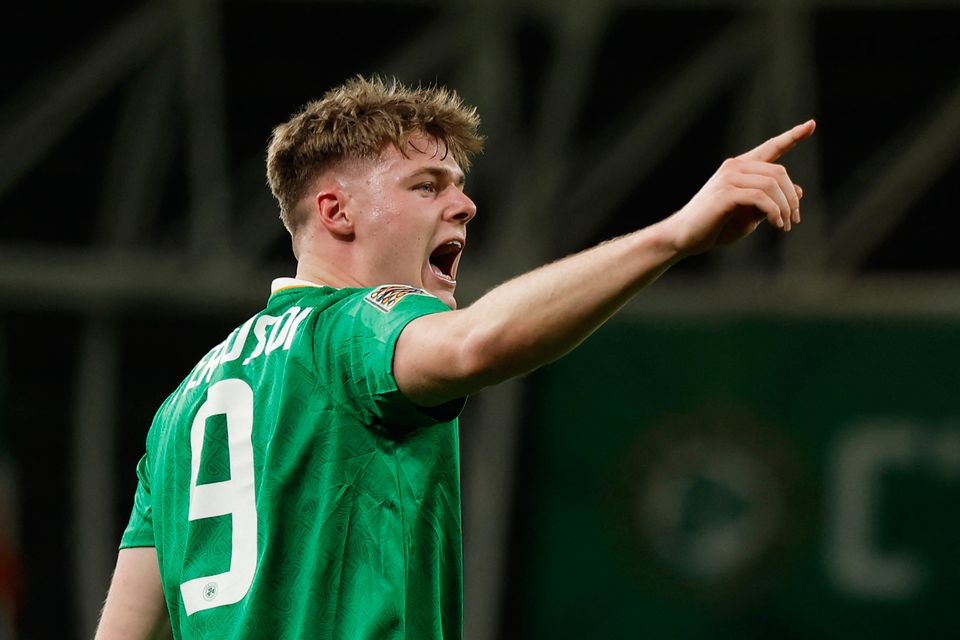Ireland fans have been desperate for the striker to continue his early form in the Premier League. Photo: Reuters