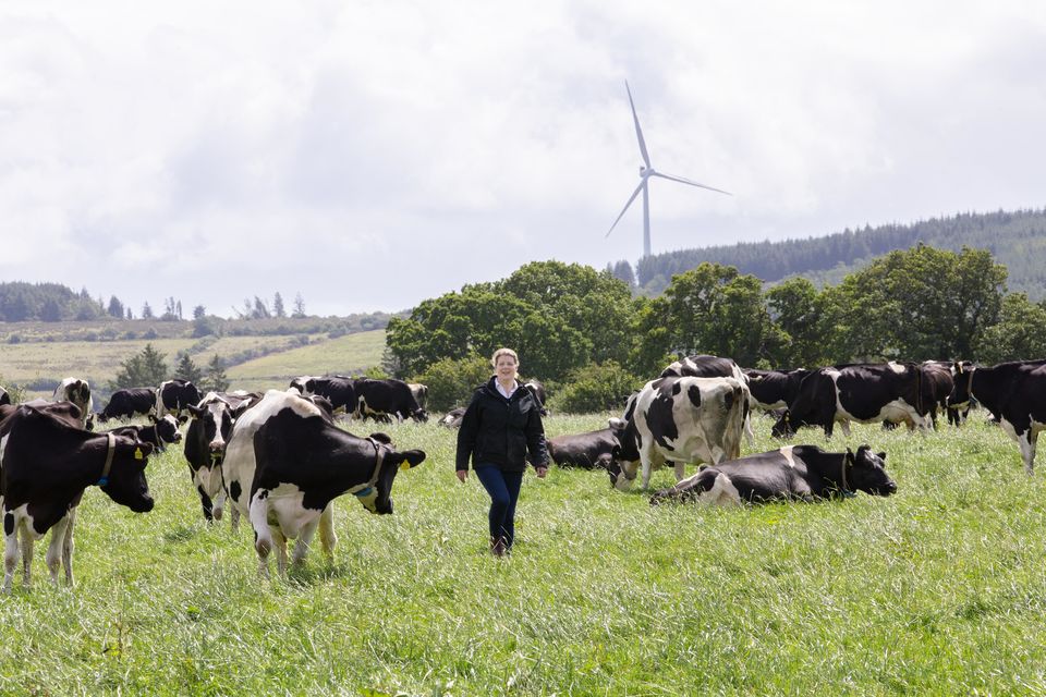 Miriam Gunn reckons that some parts of the Spanish co-op system could improve the way we do things in Ireland. Photo: Brian Farrell