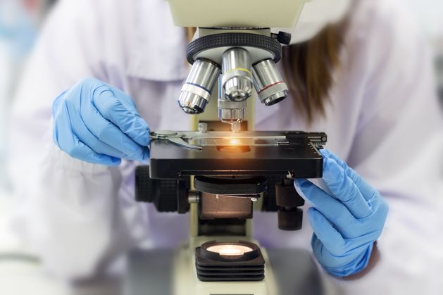 トリニティ・カレッジの科学者が細胞が癌を殺すのを妨げる分子を発見