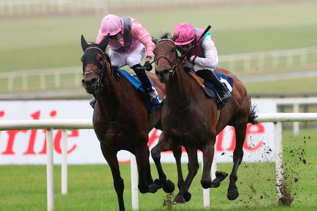 ‘It’s great to get it done’ – Bluestocking pounces on Emily Upjohn for Pretty Polly glory at the Curragh