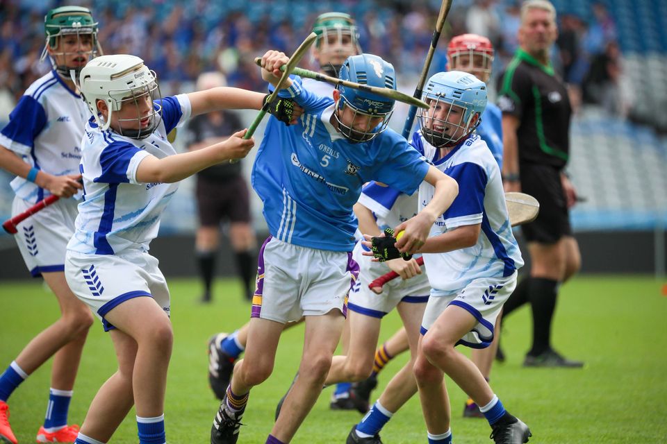 Corn Tom Fitzpatrick: Ben O'Dwyer of Scoil San Treasa v Bishop Galvin NS