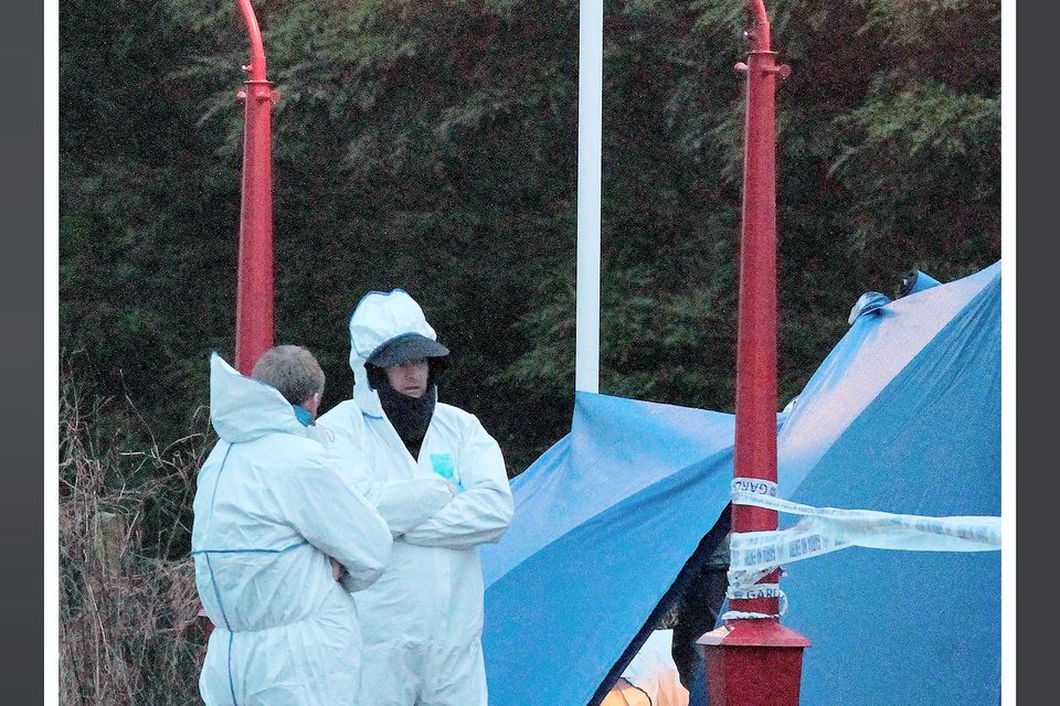 Garda forensics and Dept State Pathologist Dr Khalid Jabber pictured at the scene outside the Huntsman Inn at Gormanstown where Peter Butterly was shot dead 
Pic Frank Mc Grath