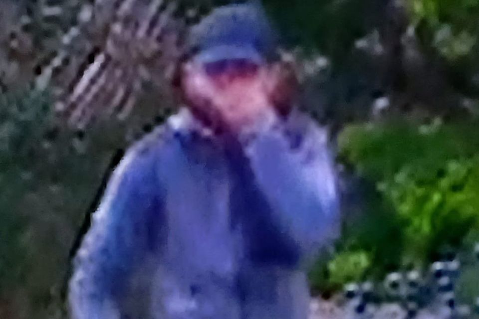 One of the suspects gardaí are hoping the public will help identify.