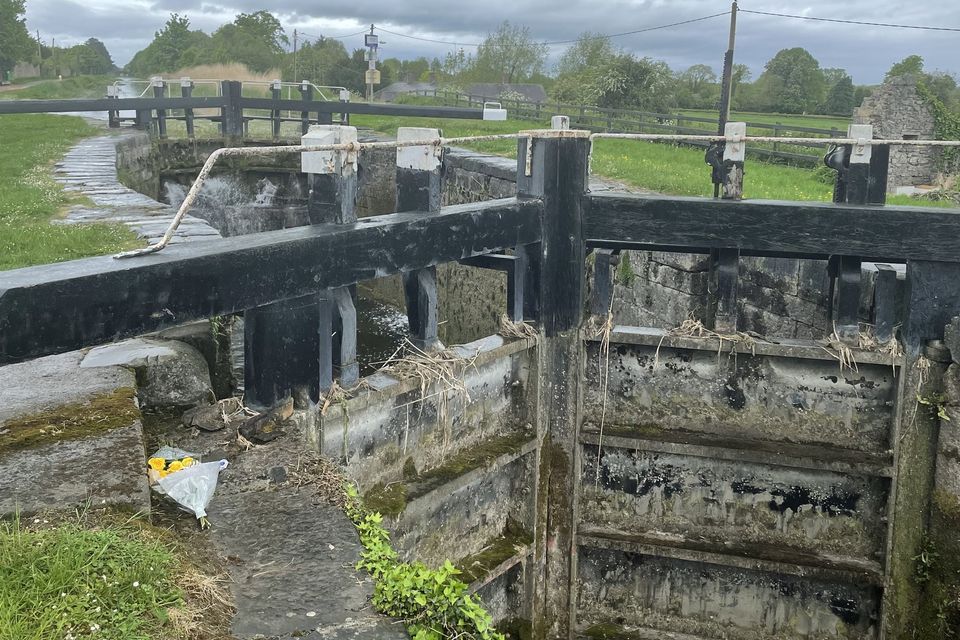 Flowers left near the scene at the Grand Canal in Co Kildare