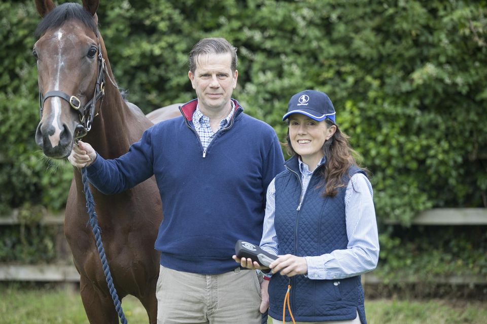 Kevin and Jennifer Corley, co-founders of digital horse ID and medical records app startup Equitrace. Picture: Arthur Carron
