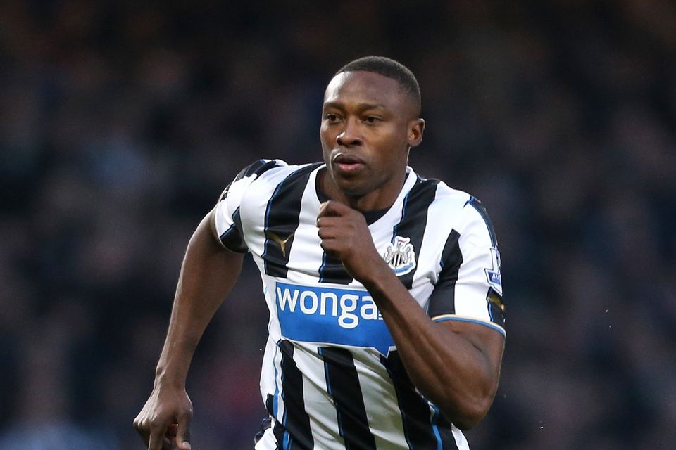 Newcastle striker Shola Ameobi, pictured, has urged the club to add quality to the squad this summer