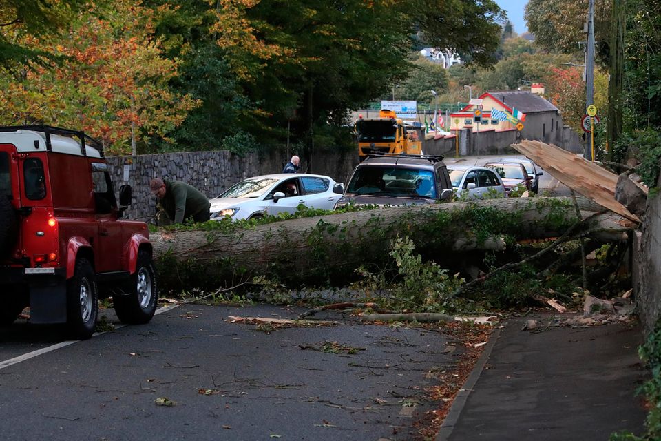 Locals cut up and clear a fallen tree which had been blocking the road for most of the day on the Leixlip Road, near the Salmon Leap Inn this evening after Hurricane Ophelia Picture Colin Keegan, Collins Dublin.