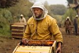 thumbnail: The Beekeeper