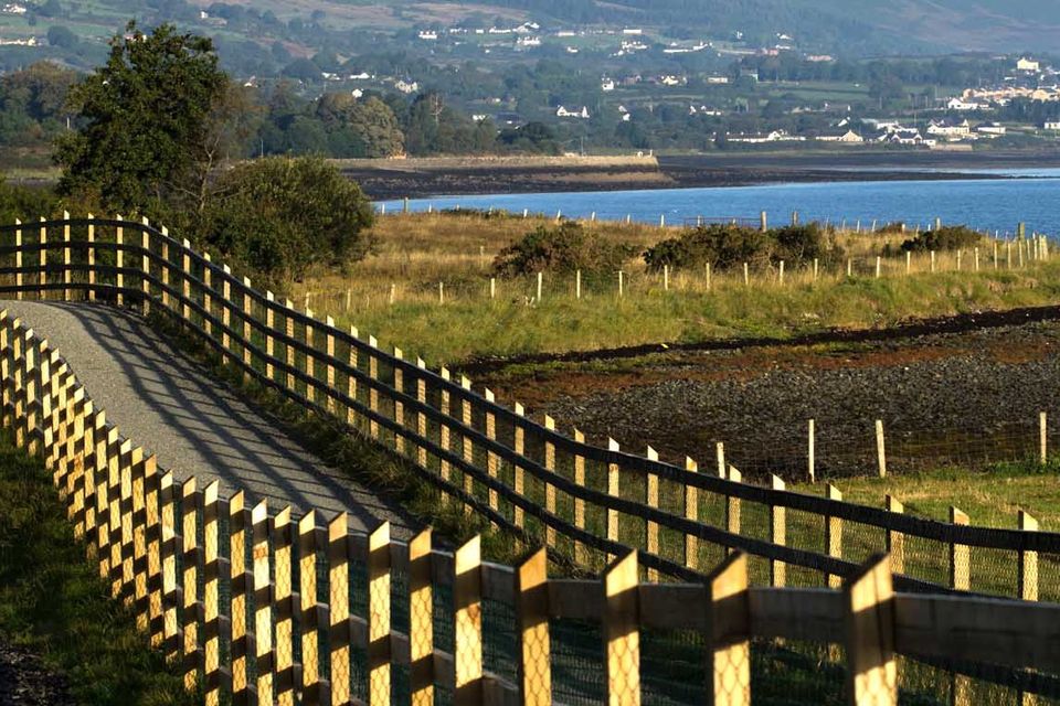 The Carlingford-Omeath Greenway.