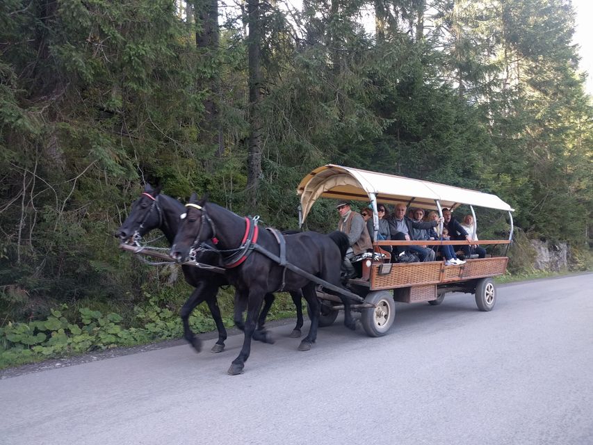 Horse and Cart to Morskie Oko