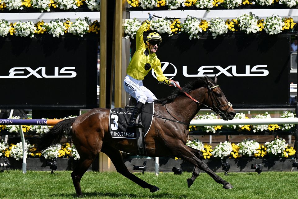 Melbourne Cup winner Without A Fight, with Mark Zahra on board. Willie Mullins' Vauban and Absurde finished out of the placings. Photo: Reuters