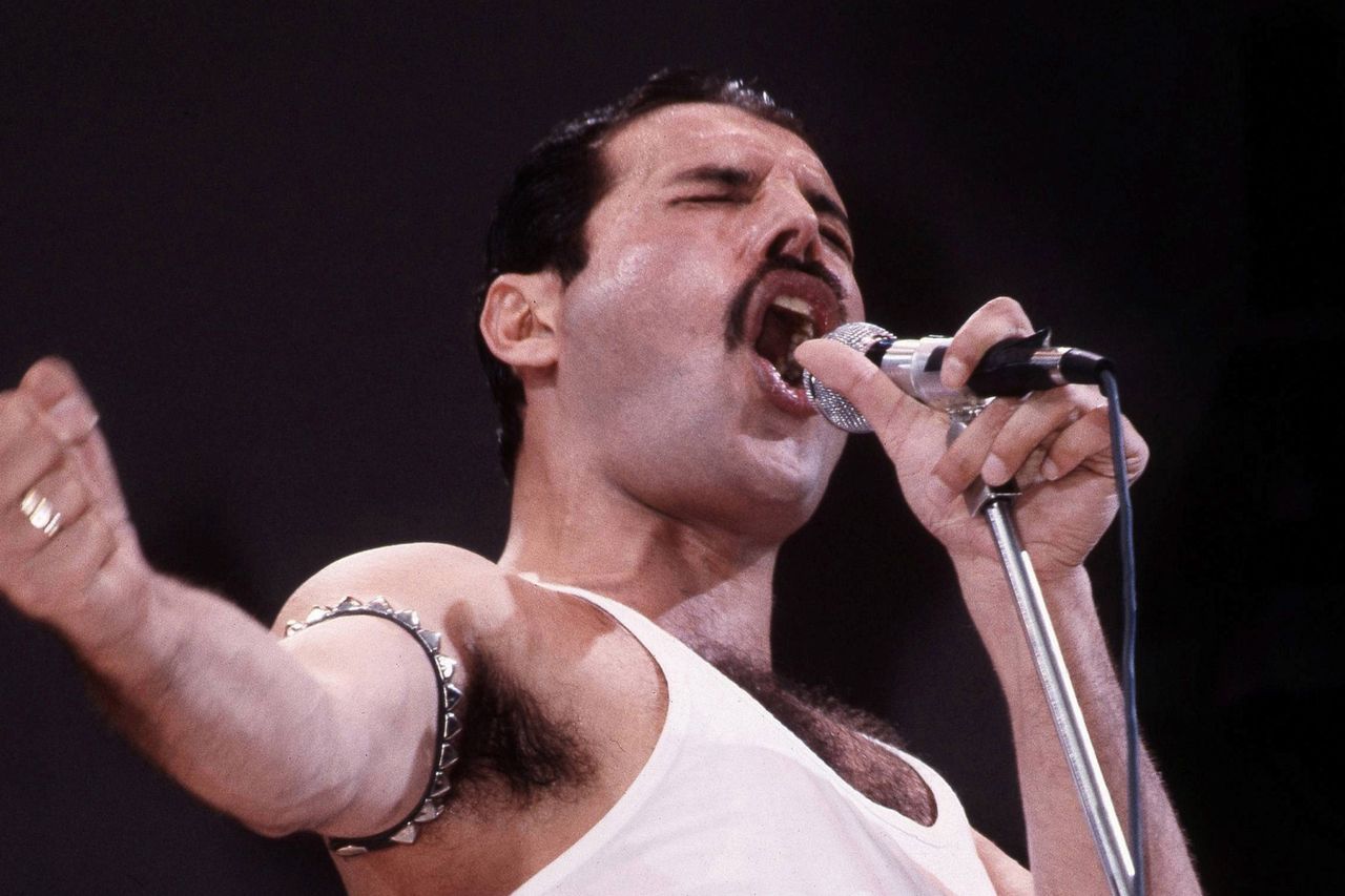 Love story made in Heaven - how Freddie Mercury met his Irish partner |  Irish Independent