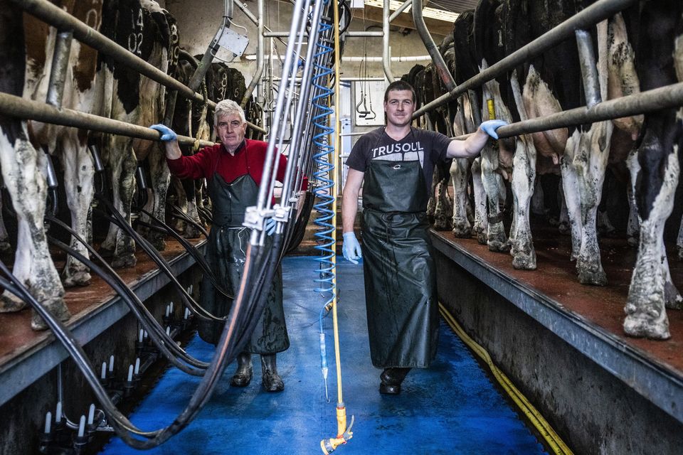 Focus on smaller details: Steven Fitzgerald and his father Richard on their dairy farm near Aglish, west Waterford. Photos: Tirlán