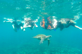 thumbnail: Nicola snorkelling with sea turtle in Sri Lanka.
