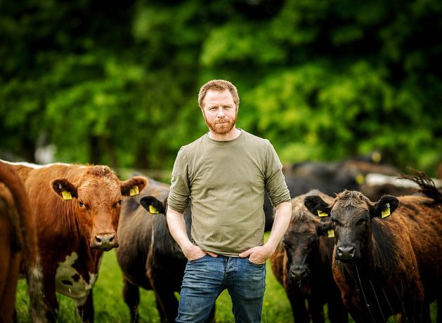 Sligo farmers to share experience of sustainable farming at Laois festival