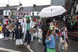 thumbnail: Gael Scoil Moshiológ Guaire in the St Patrick's Day parade in Gorey. Pic: JIm Campbell