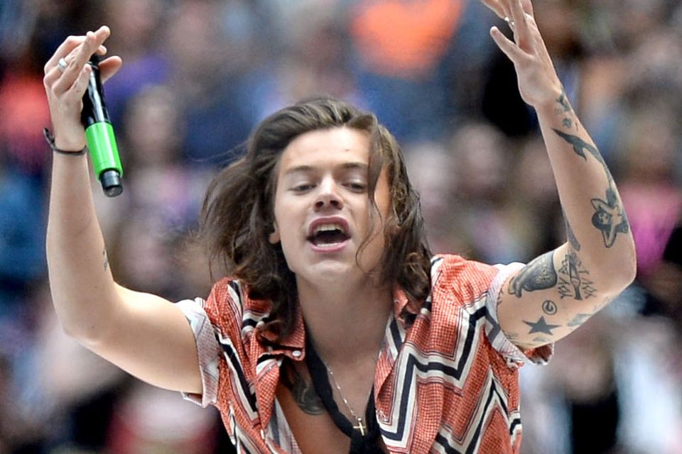 Harry Styles surprises fans with new haircut
