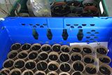 thumbnail: Community growers from Dublin and Omagh made donations of seeds and plants.