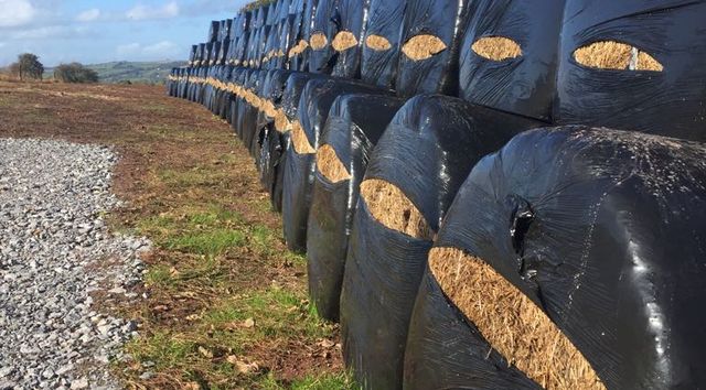 Video: Taking the hardship out of silage bales - New Hayknife hits Irish  market 