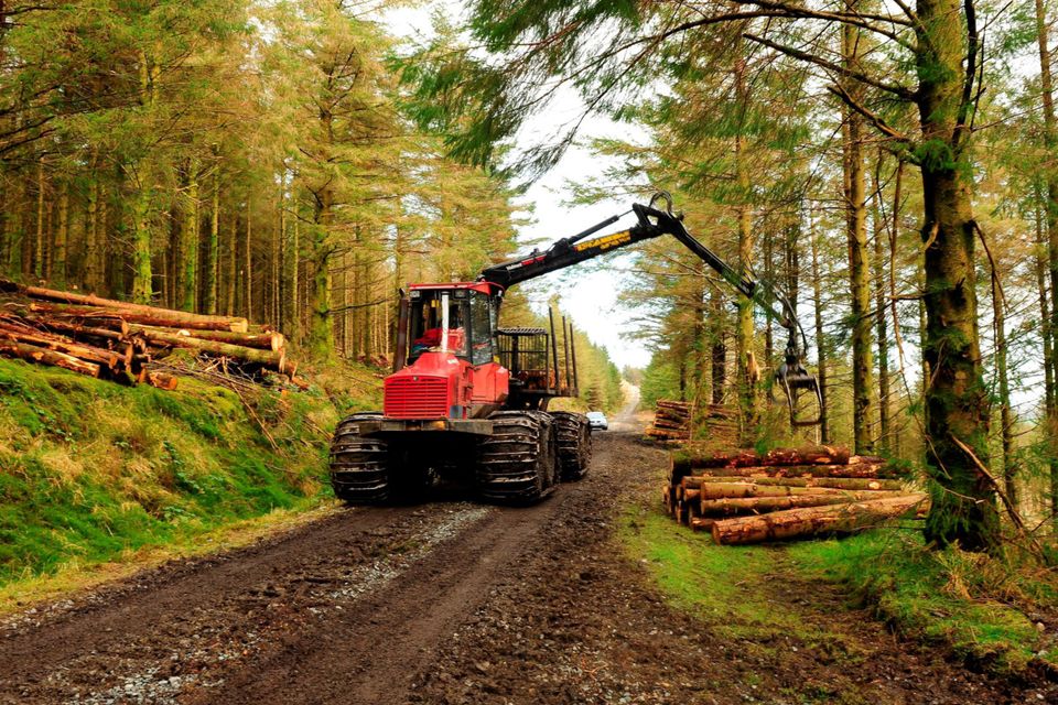 Guide: The Irish Timber Growers Association has produced a new sales guide for growers.