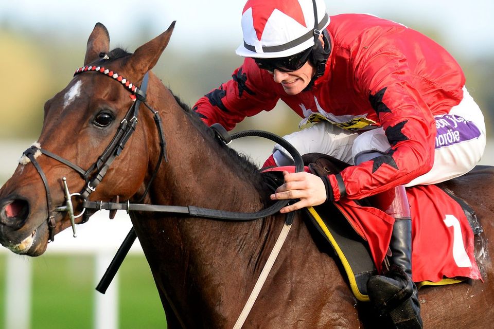 Jockey Sam Twiston-Davies will bid for Champion Hurdle glory aboard The New One, trained by his father Nigel. Photo: Alan Crowhurst/Getty Images