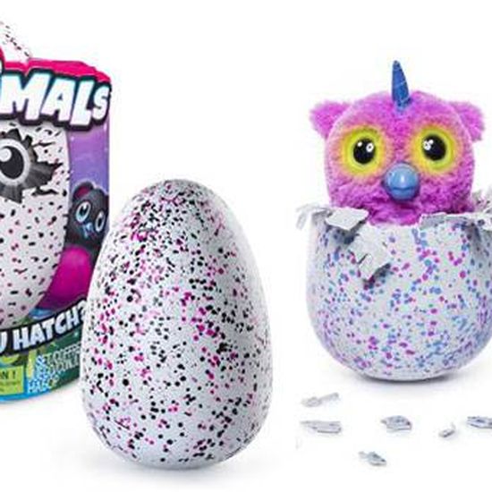 Hatchimals store owlicorn argos