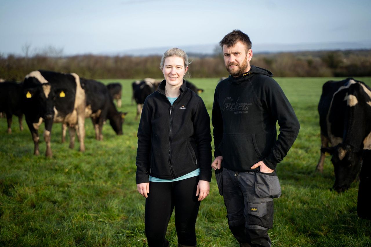 Farmers tap into AI thanks to €2m deal between Dairymaster, Lero and IT  Tralee - Engineers Ireland