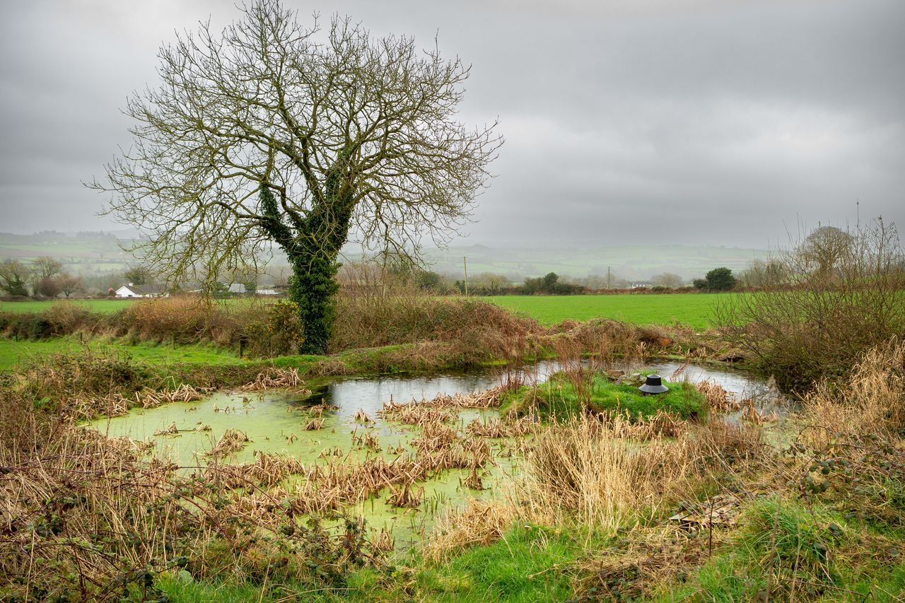 ‘Farmers can sell carbon credits to Ryanair’ – EU climate action chief ...