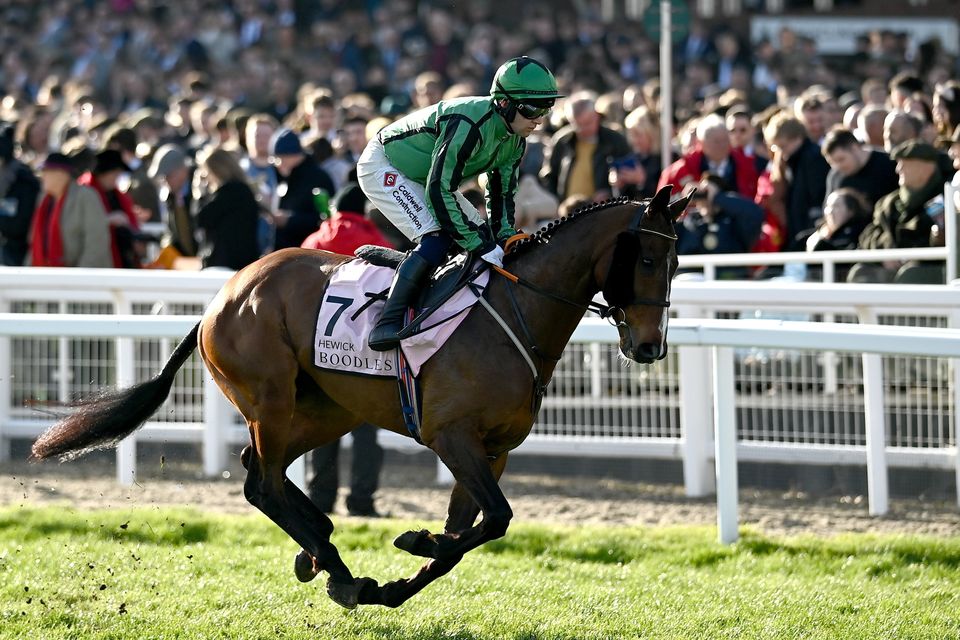 Hewick, with Jordan Gainford up at Cheltenham (above), would be a popular winner in France this weekend. Photo: Sportsfile