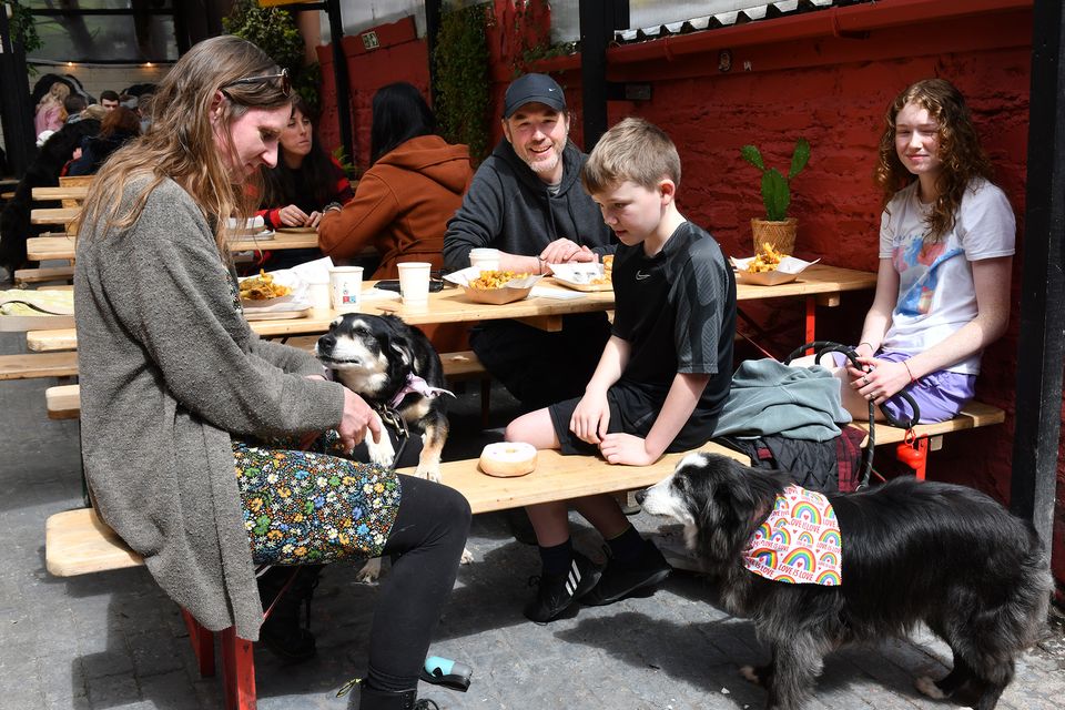 Lisa, David, Wee Davy and Bella Faulkner with their dogs 'Stoya' and 'Ricky' at the Dog Friendly Coffee Morning in aid of Dundalk Gog Rescue held in Mo Chara. Photo: Ken Finegan/www.newspics.ie