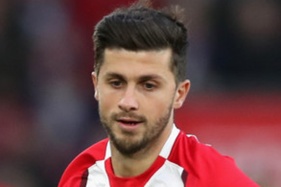 Shane Long. Photo: Getty Images