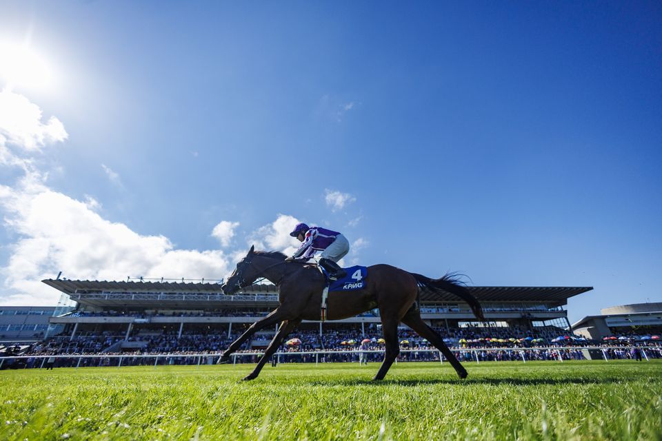 Tower Of London and Wayne Lordan
