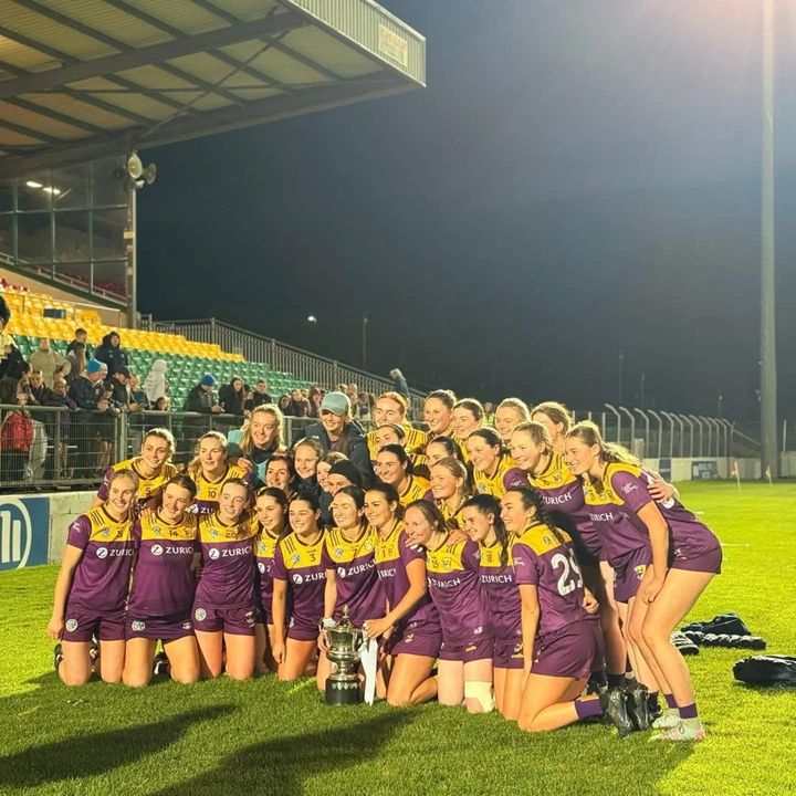 Wonderful Wexford hit back for glory as they edge out Dublin to land Leinster Senior camogie crown
