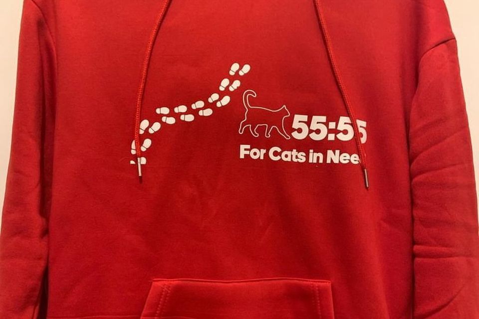 A friend of Ciara's has designed this hoodie for her to wear as she walks to raise funds for cats in need