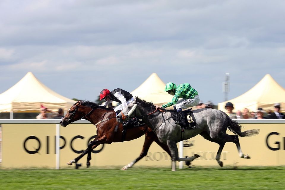 Free Eagle (left) holds off The Grey Gatsby to win the Prince Of Wales's Stakes at Royal Ascot