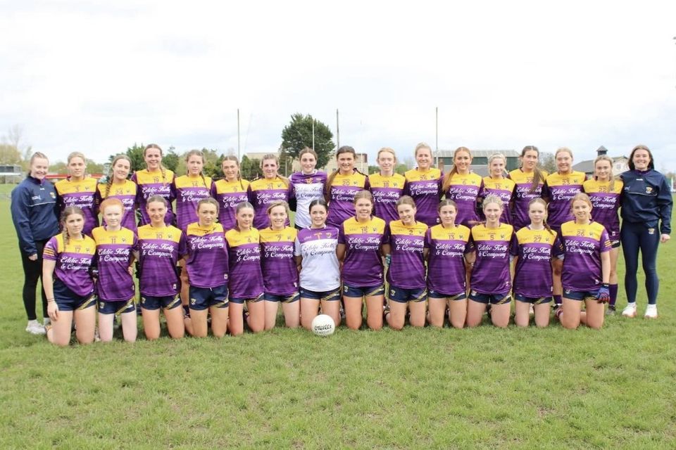 The Wexford squad before Sunday’s Leinster championship final defeat.