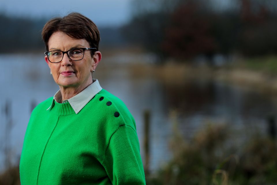 Author Patricia Gibney in her native Westmeath. Photo: Gerry Mooney