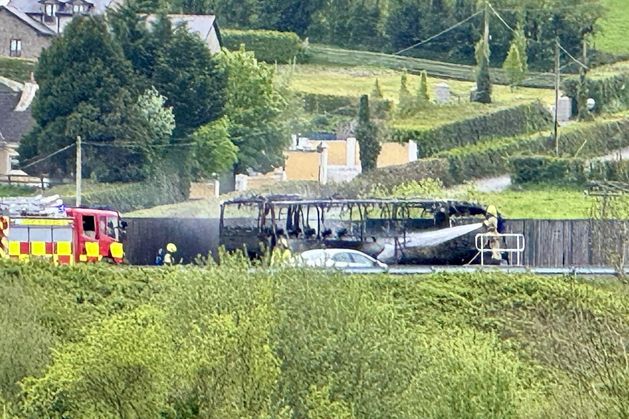Bus : ce qu'il faut savoir — image 2
