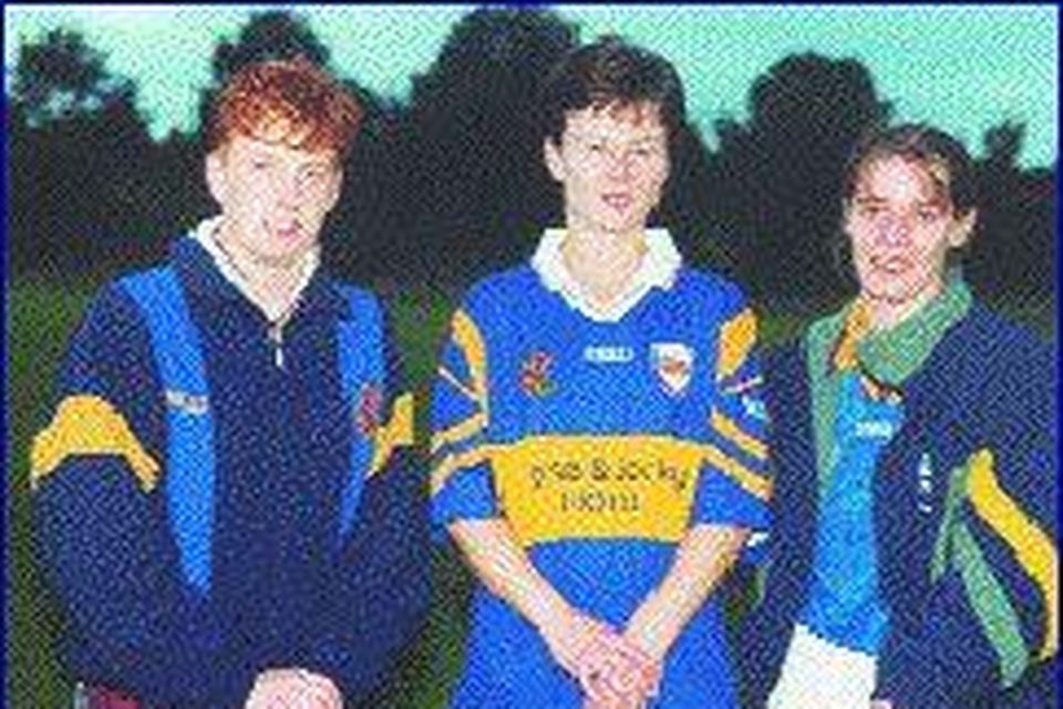 Tipp have the spirit to | Independent.ie