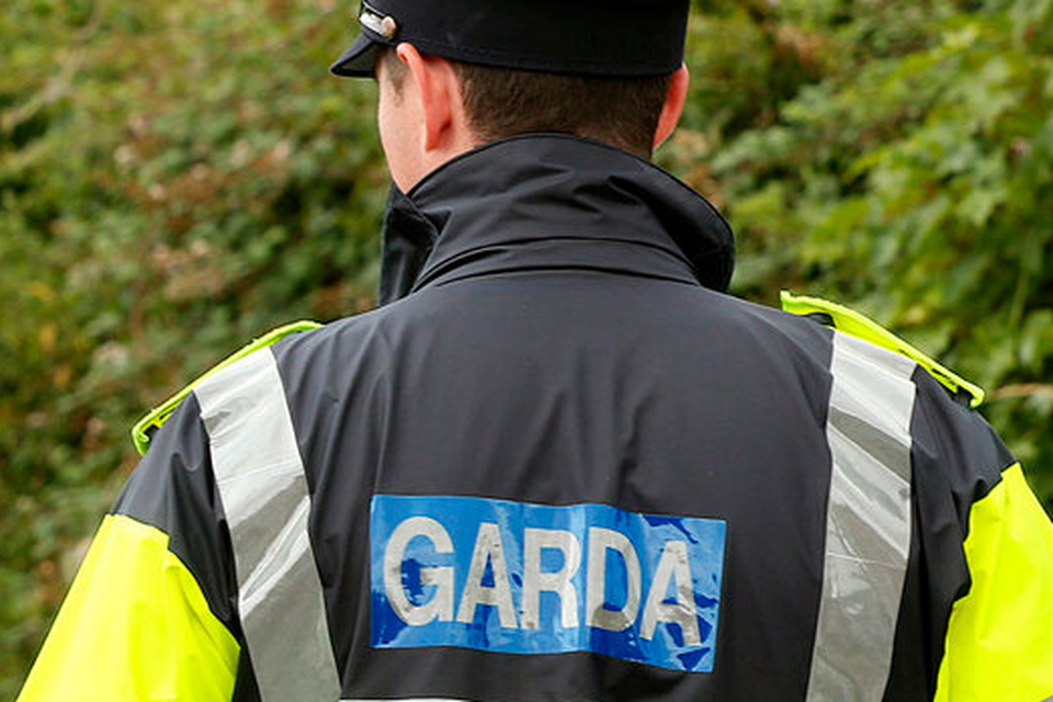 Gardai are said to be angry (stock pic)