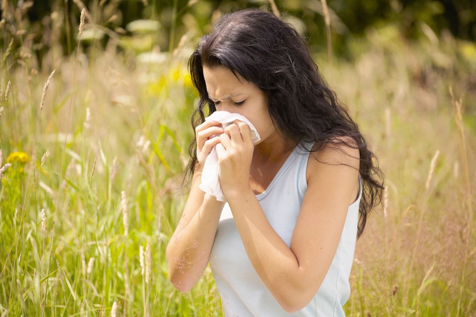 Antihistamines can ease hayfever symptoms. Photo: Getty