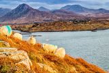 thumbnail: March: The Locals, Connemara, Co. Galway by Jim Brennan. Photo with thanks to Trident Holiday Homes.