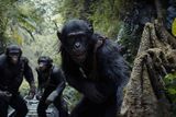 thumbnail: Into the future: Kingdom of the Planet of the Apes. Photos: Walt Disney Studios