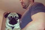 thumbnail: Cian Healy and their pug Ted