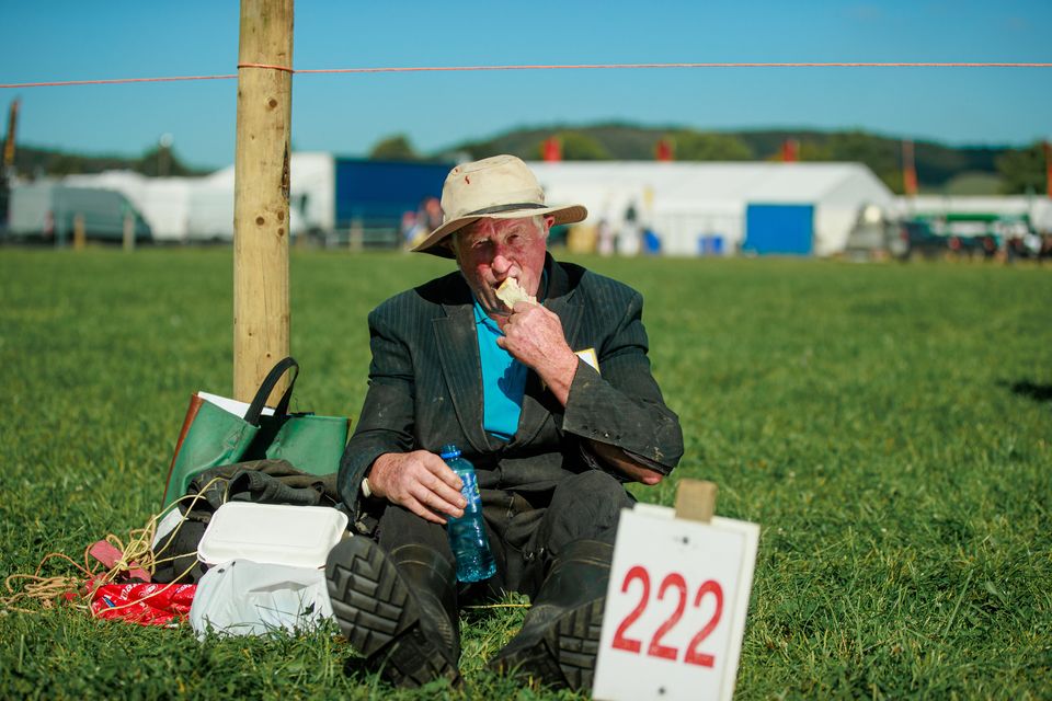 Thomas Cunningham from Galway taking a break from Loy digging on day two of  the National Ploughing Championships in Ratheniska. Pic: Mark Condren