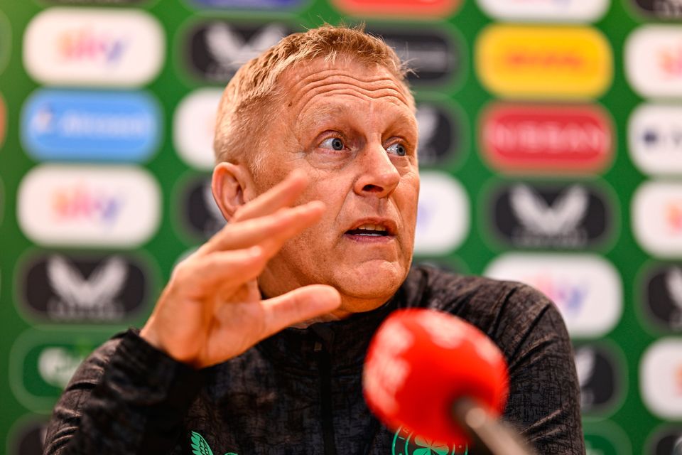 Ireland head coach Heimir Hallgrimsson