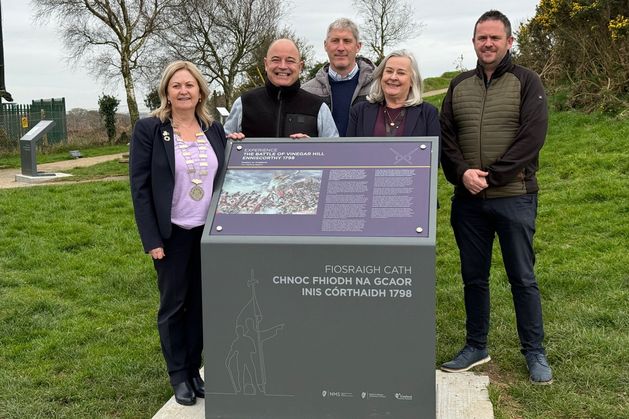 Students could be drafted in to enhance tourist experience at one of Wexford’s most iconic landmarks